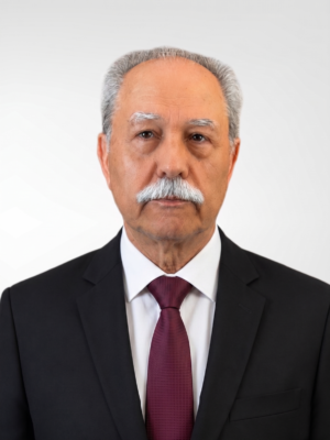Mustafa ERENDEMİR